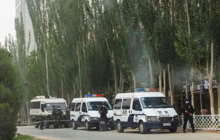 Three police vans with at least five officers sit on a tree-lined street.